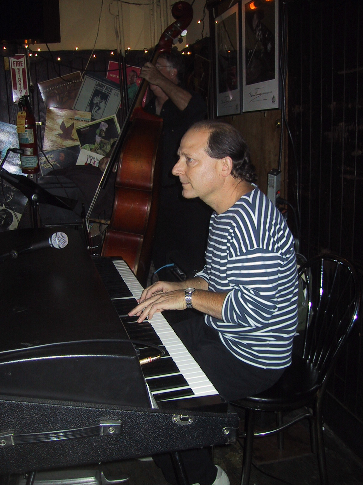 Peter Dembski performing with The Pandea Group